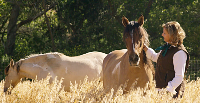 Linda at Return To Freedom with wild horses