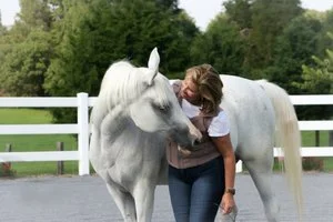 WHEN THE HORSE WHISPERS TO YOU