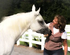 IS YOUR HORSE STUBBORN OR ARE YOU?  