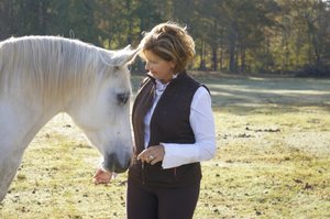INTRODUCING MY EQUINE VIDEO BLOGS