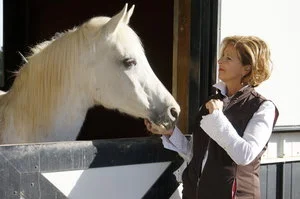 THE BEAUTIFUL NATURE OF HORSES
