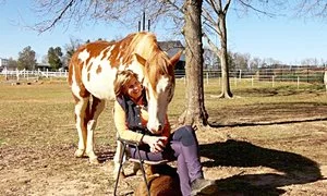 YOUR ENERGY AND YOUR HORSE'S ENERGY