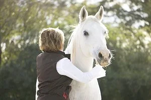 A  BEAUTIFUL  MESSAGE  FROM  MY  HORSES 