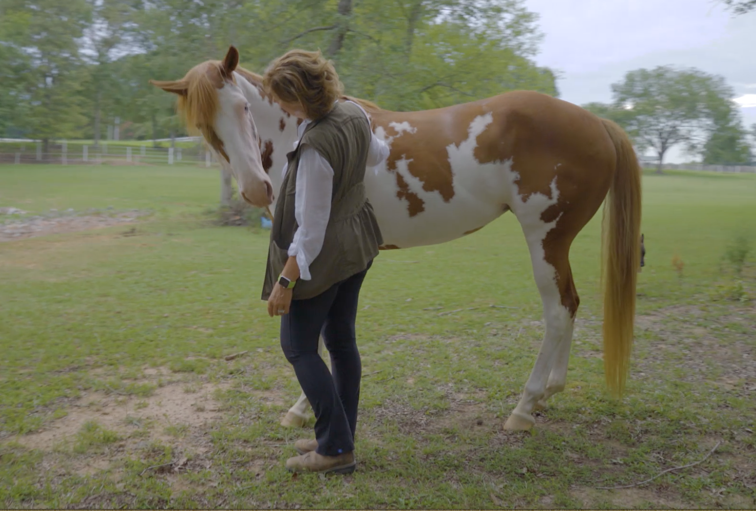 THE BEAUTY OF HORSES AT LIBERTY