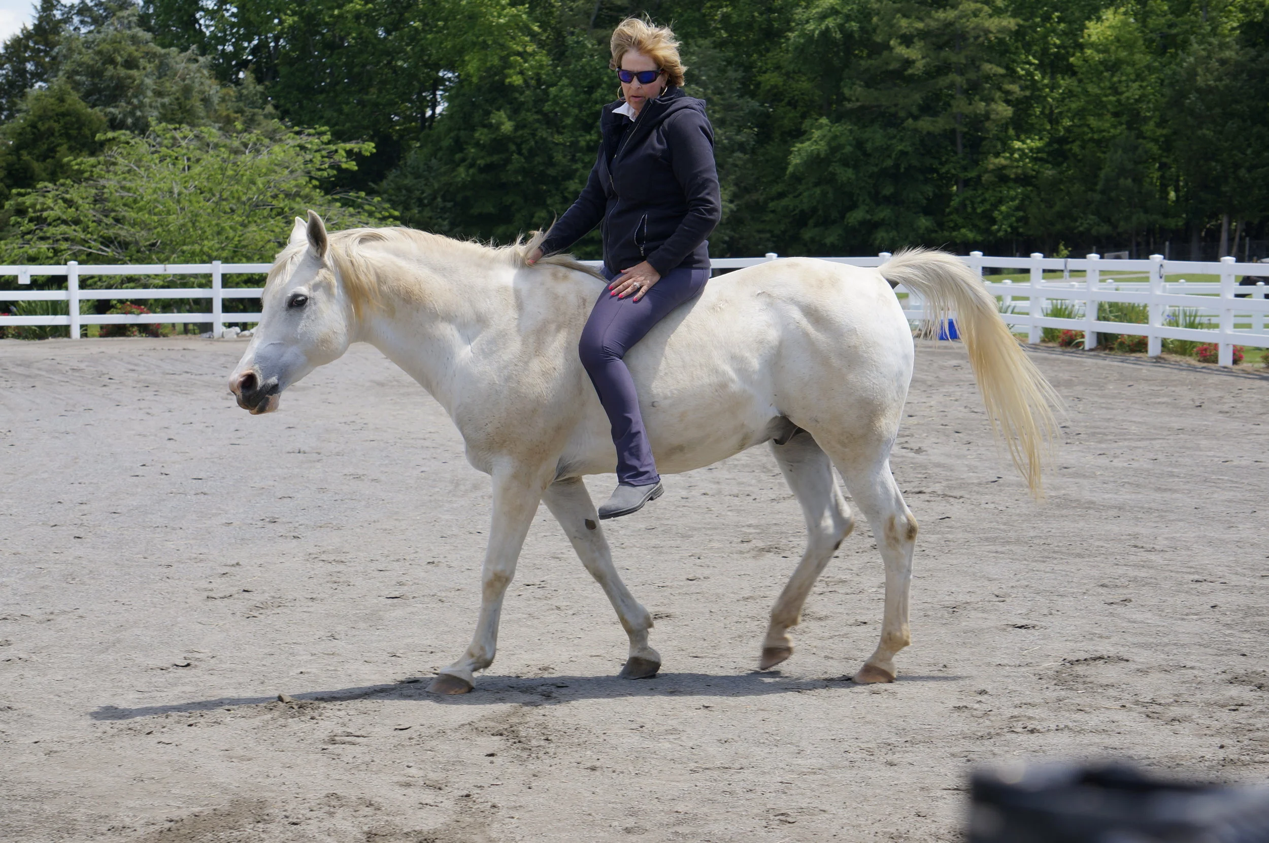 WHAT I WISH PEOPLE COULD LEARN FROM HORSES