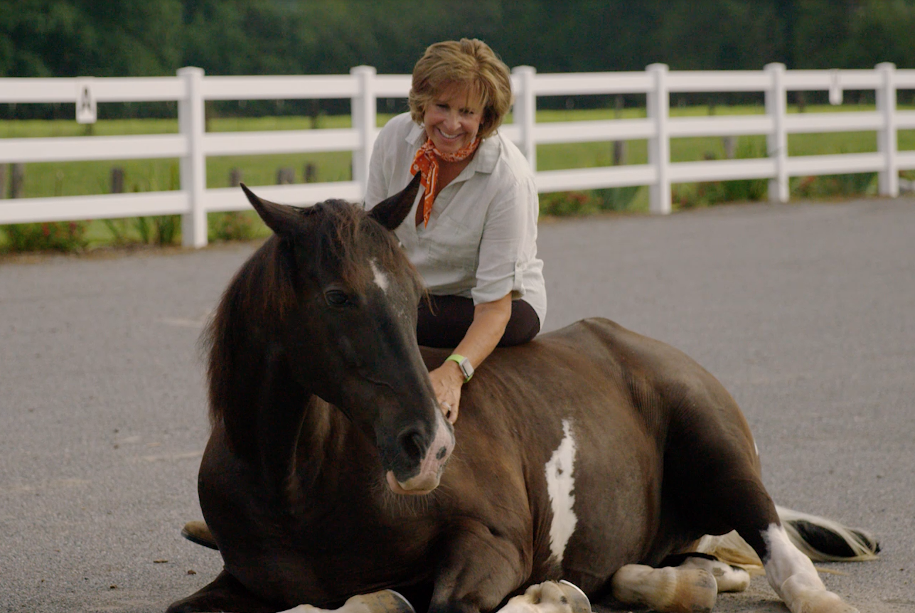 A CONVERSATION WITH MY HORSE SAMPSON