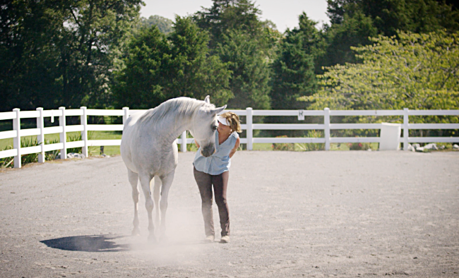 MY HORSE SHADOW