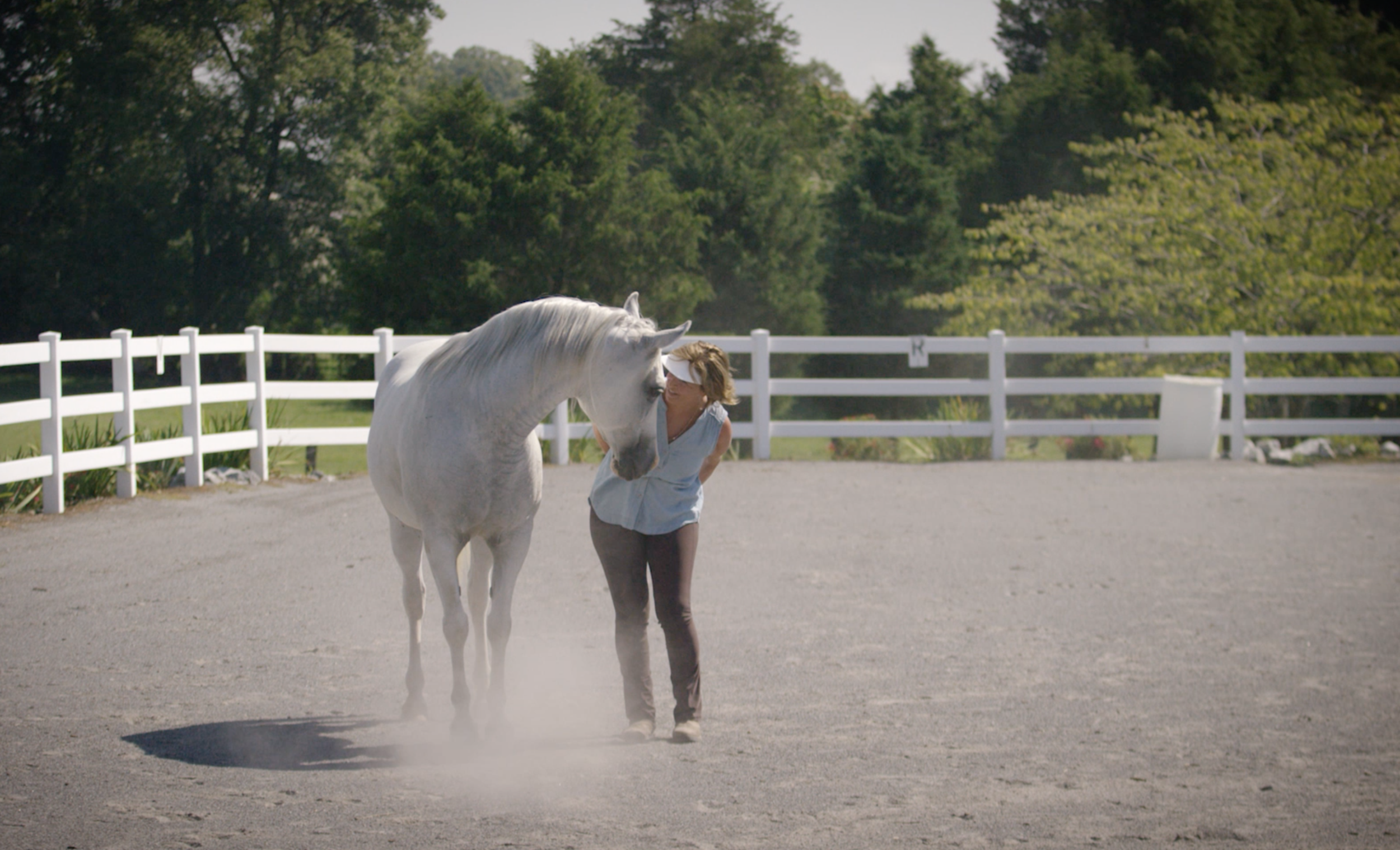 HORSES DEPEND UPON CONNECTION