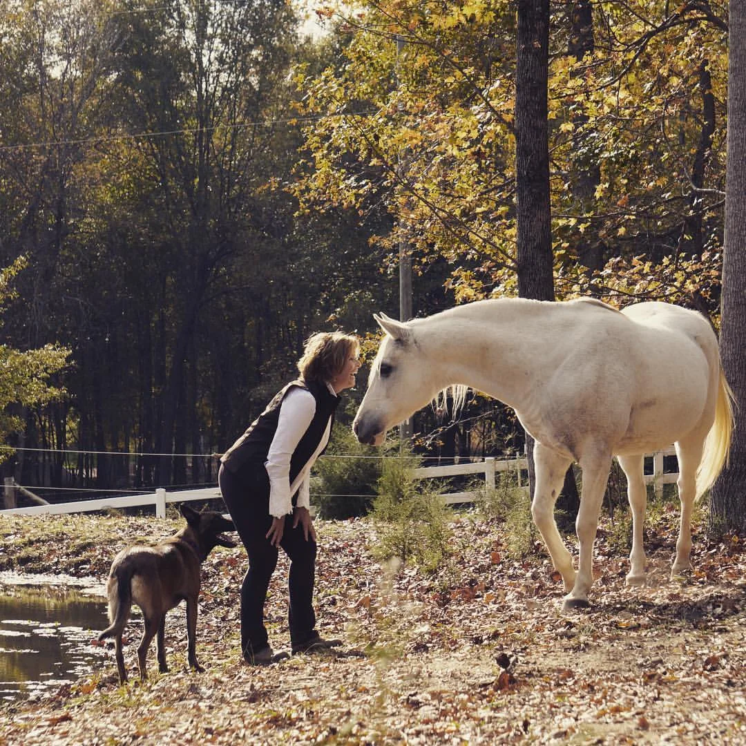 DO YOU PUSH OR MOTIVATE YOUR HORSE ?