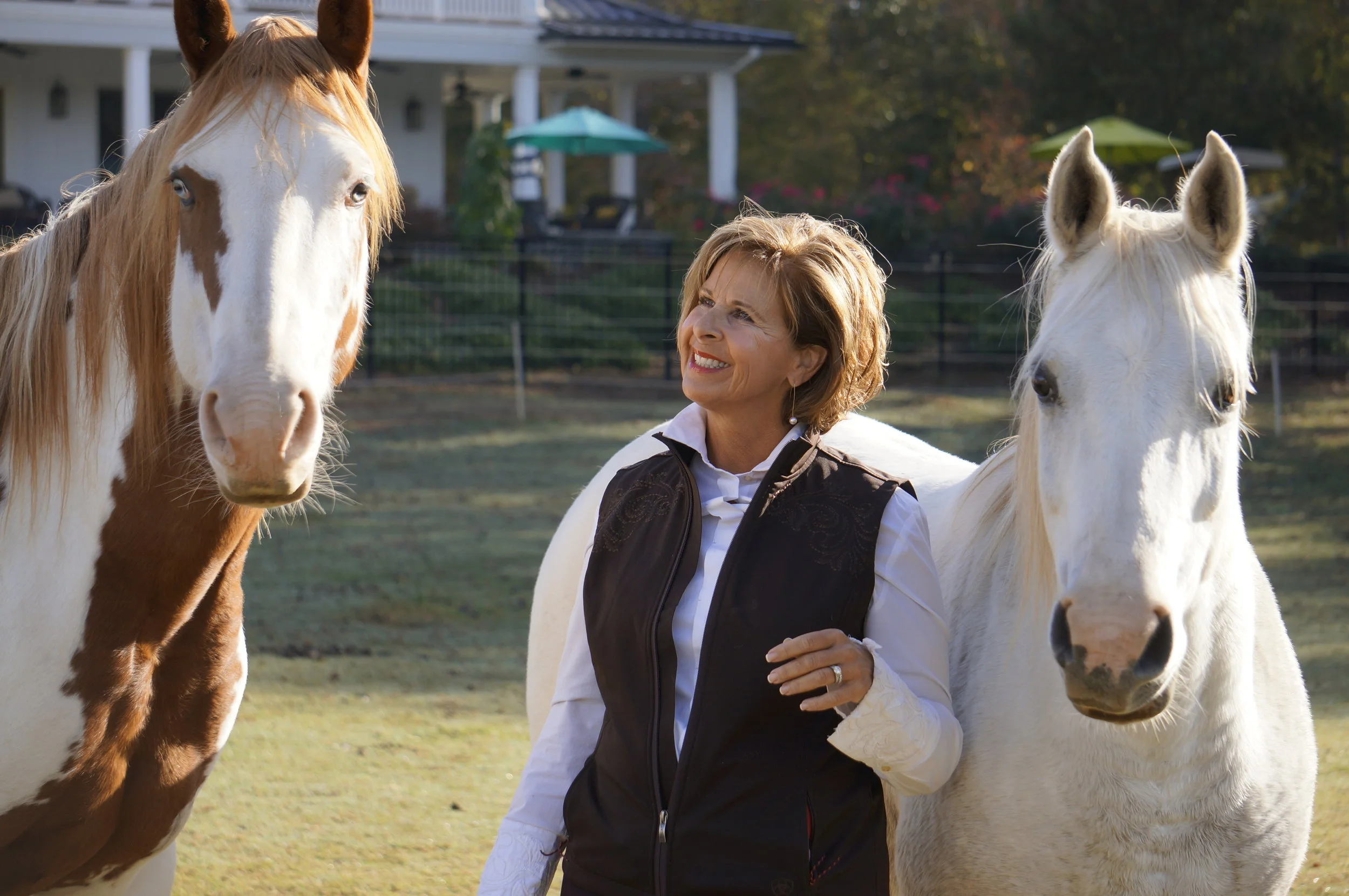 ARE HORSES CAPABLE OF TRICKERY? 