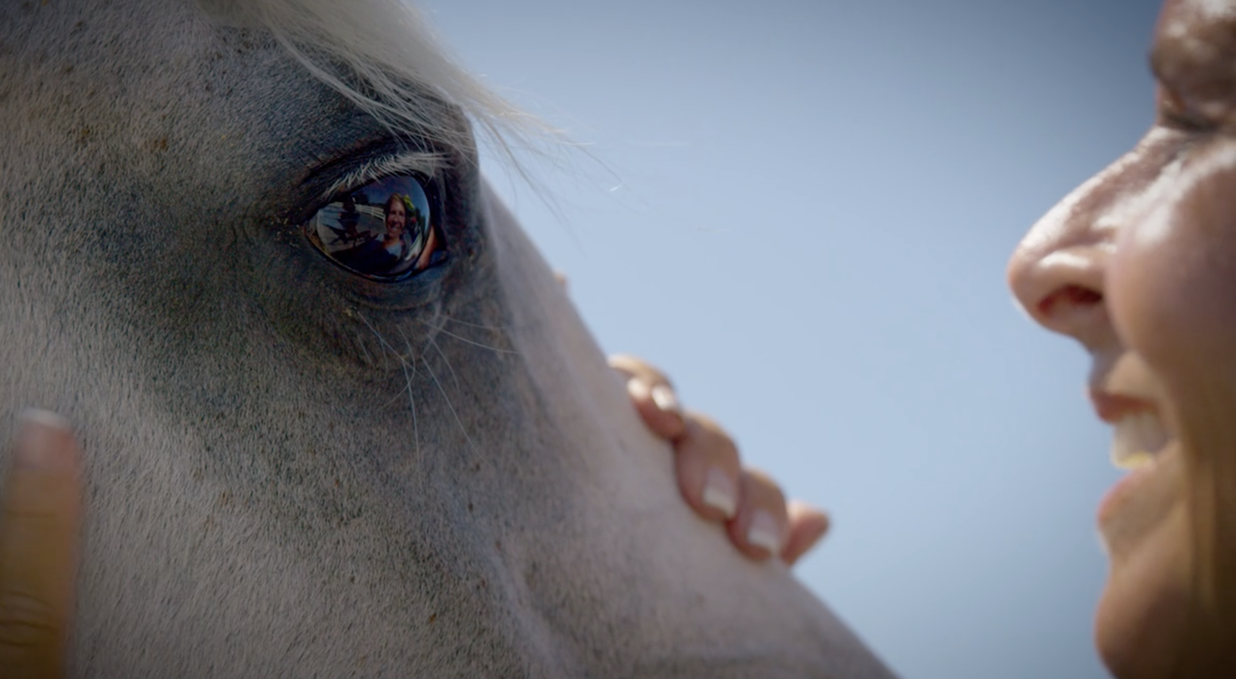 LOOK INTO YOUR HORSE'S EYE