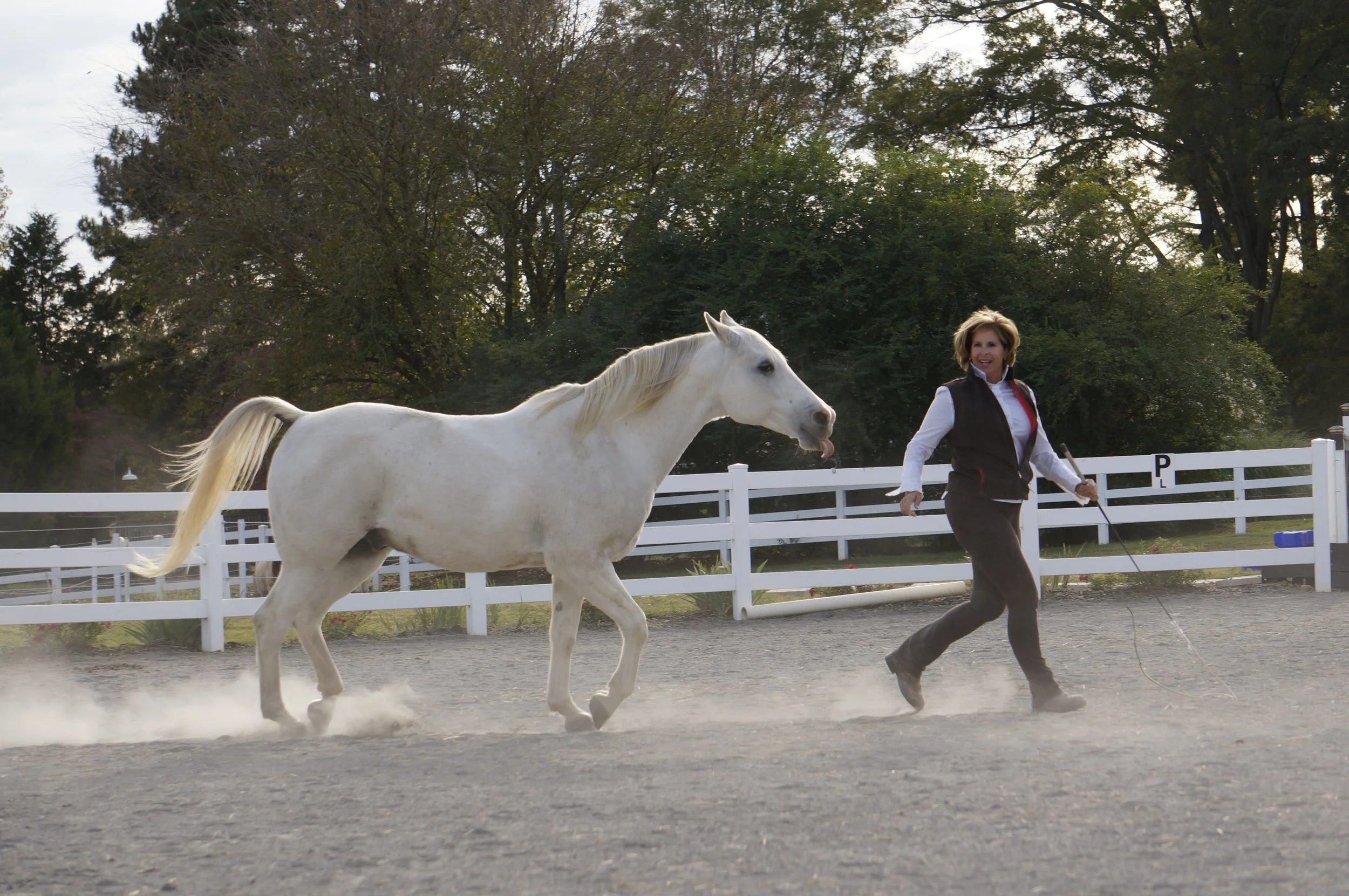 A TIP FOR BETTER COMMUNICATION WITH YOUR HORSE