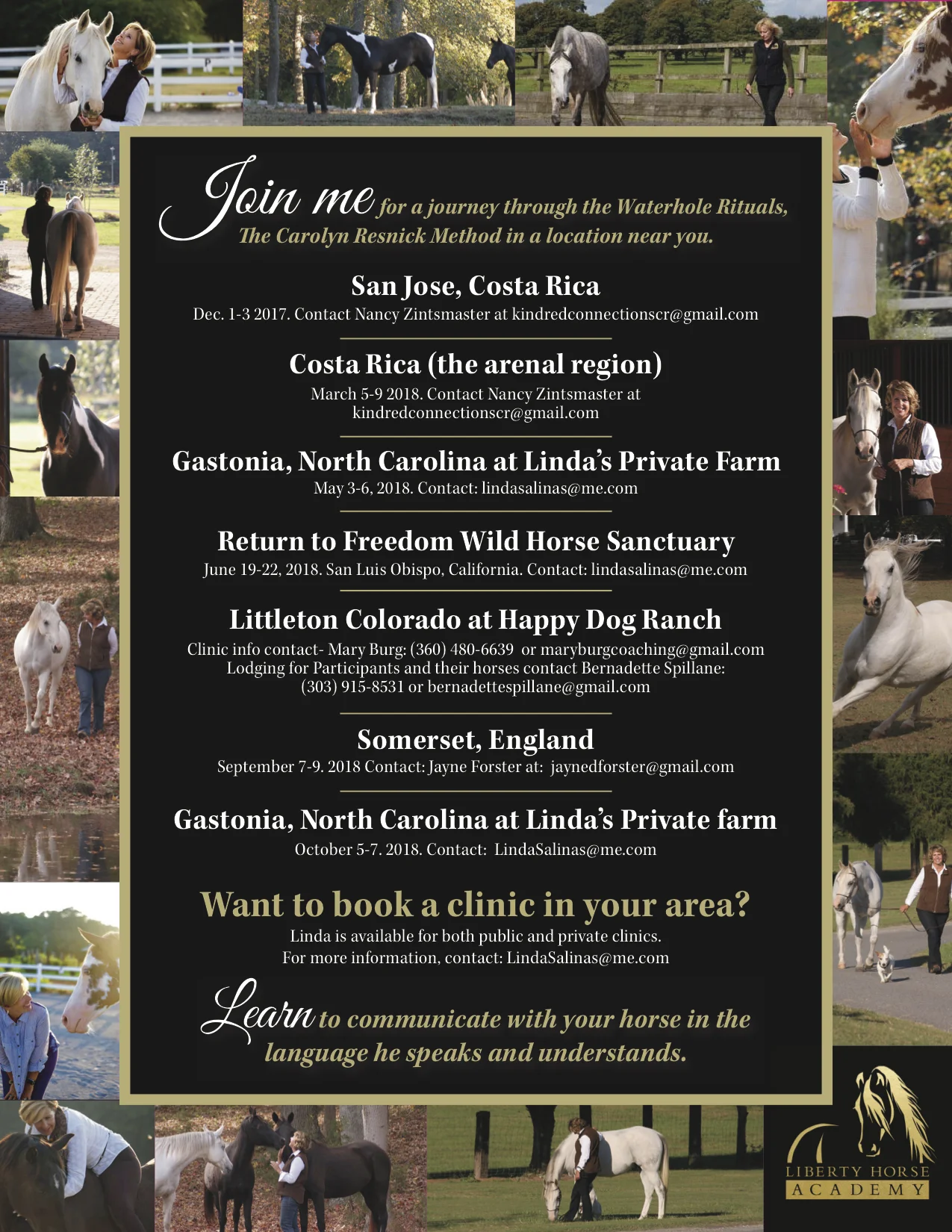 Final Liberty Horse Academy Flyer.jpg
