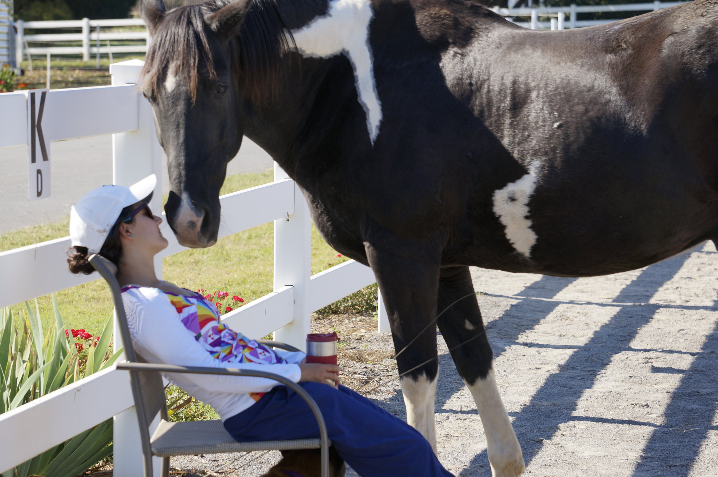 SHARING A CONNECTION OF THE HEART WITH YOUR HORSE