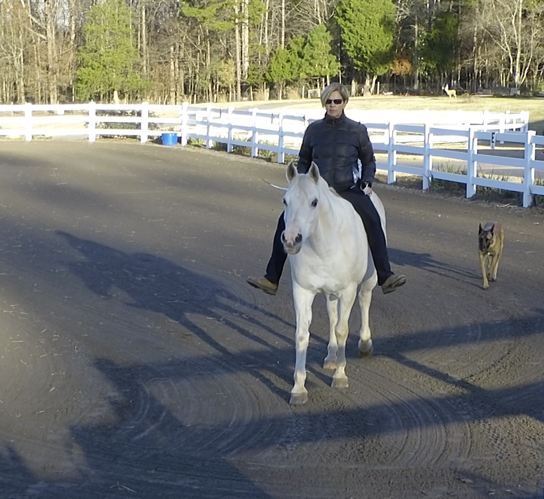 THE BEST TRAINING SKILL YOU CAN DEVELOP