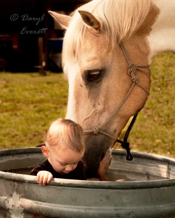 dad31bdf32a312df917f9c67f85fa22f.jpg
