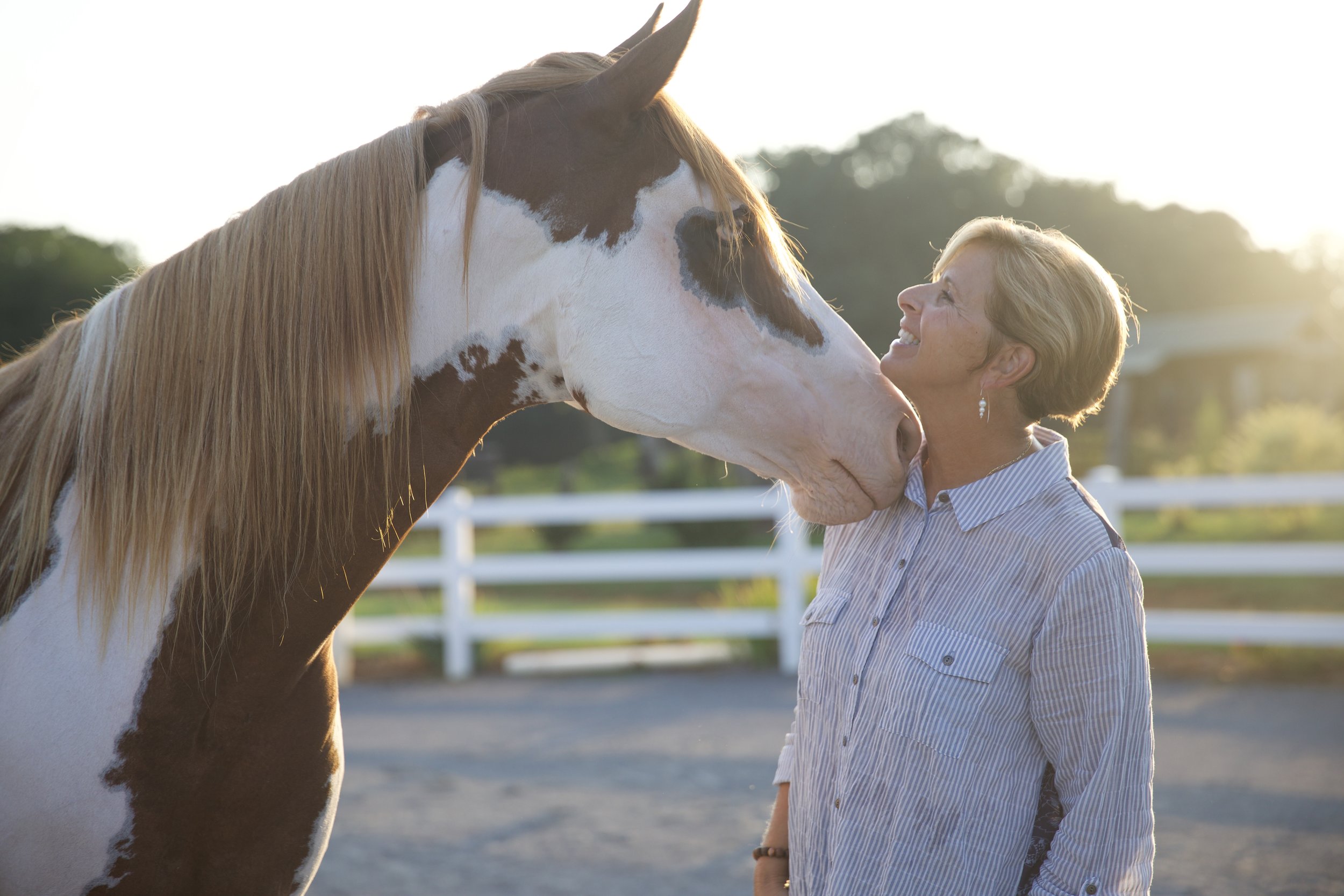 STAND UP FOR YOURSELF & YOUR HORSE
