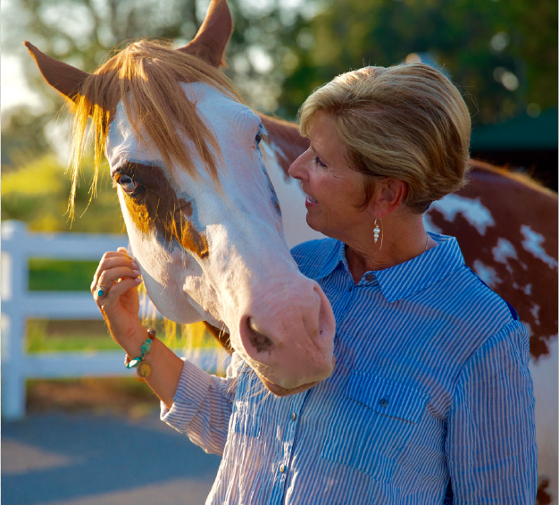 NEW YORK - LIBERTY HORSE TRAINING CLINIC