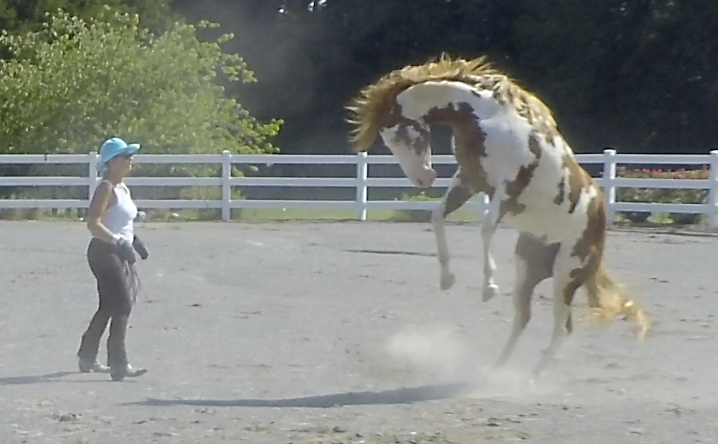 THE DANCE OF CONNECTION