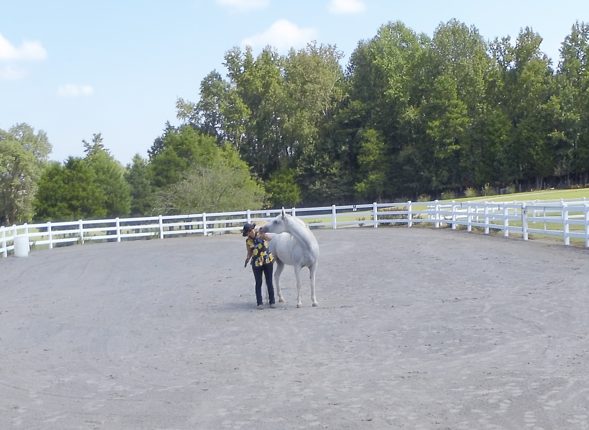 HOW CONNECTED ARE YOU WITH YOUR HORSE? This may surprise you.....