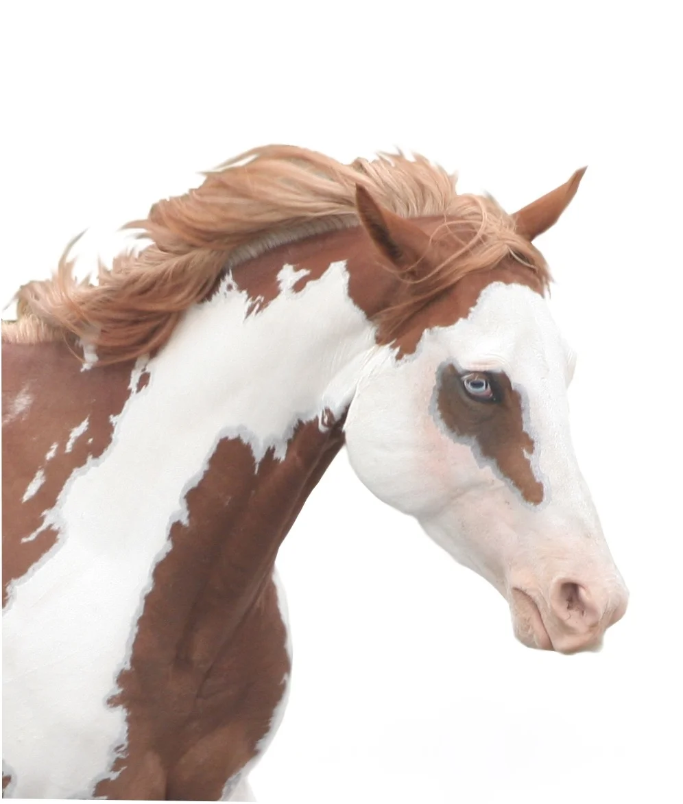 PRIVATE RETREAT- True Connection Private/Retreat