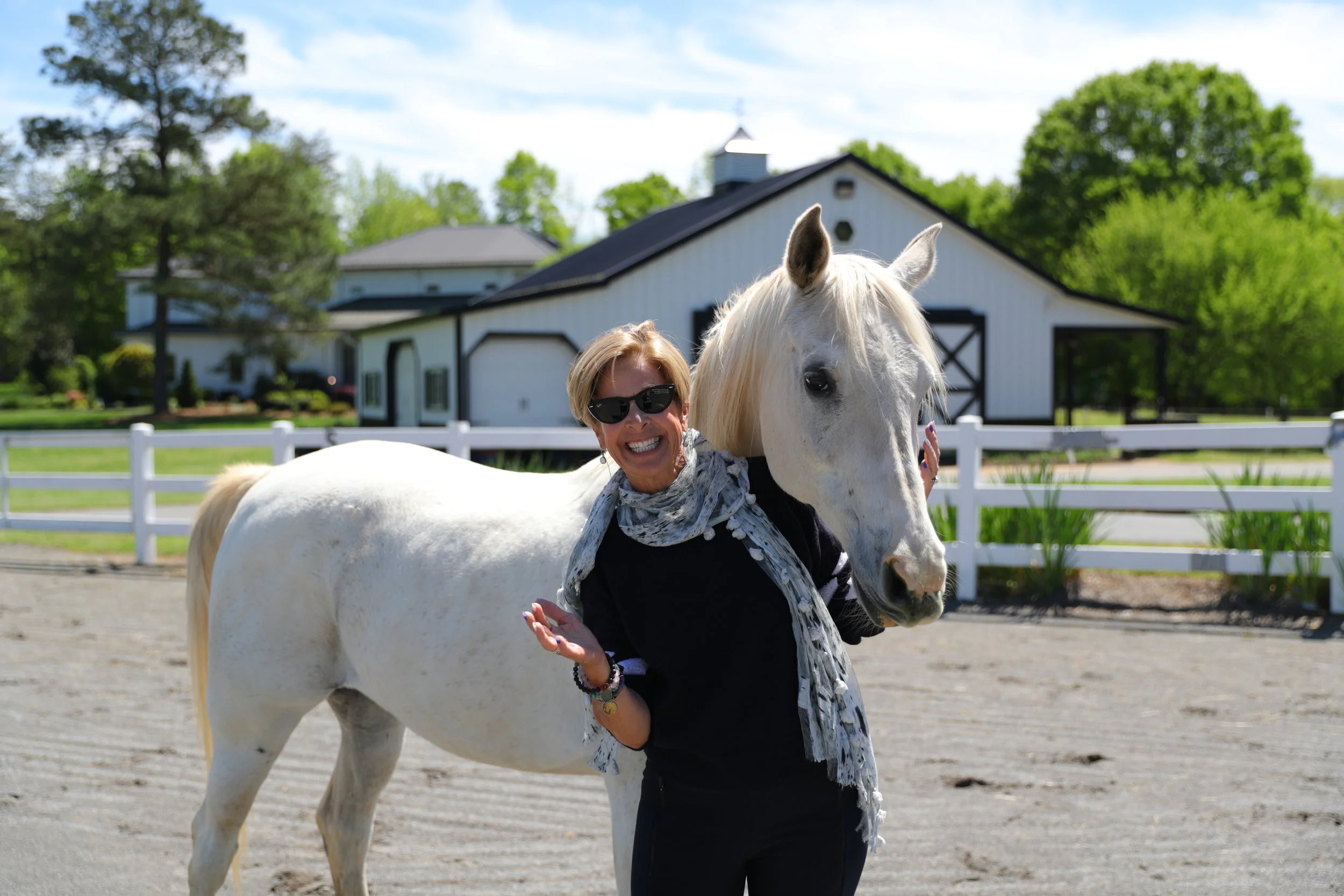 COMMUNICATING WITH HORSES
