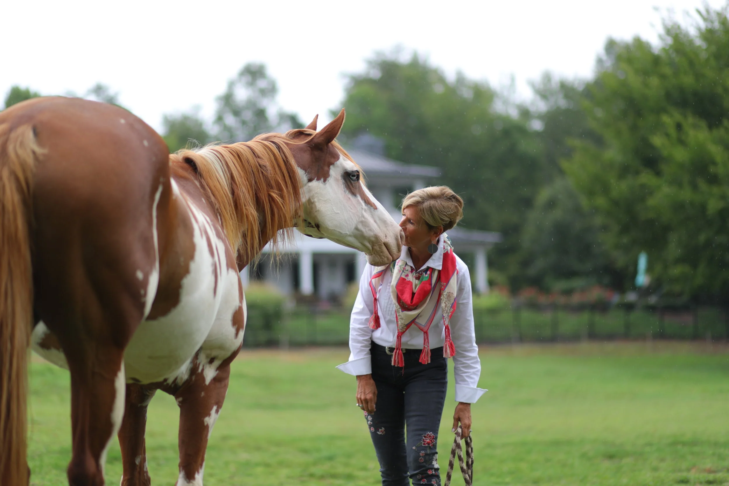 HORSES AS HEALERS:  THE MOST POWERFUL MEDICINE YOU CAN'T GET FROM A PHARMACY