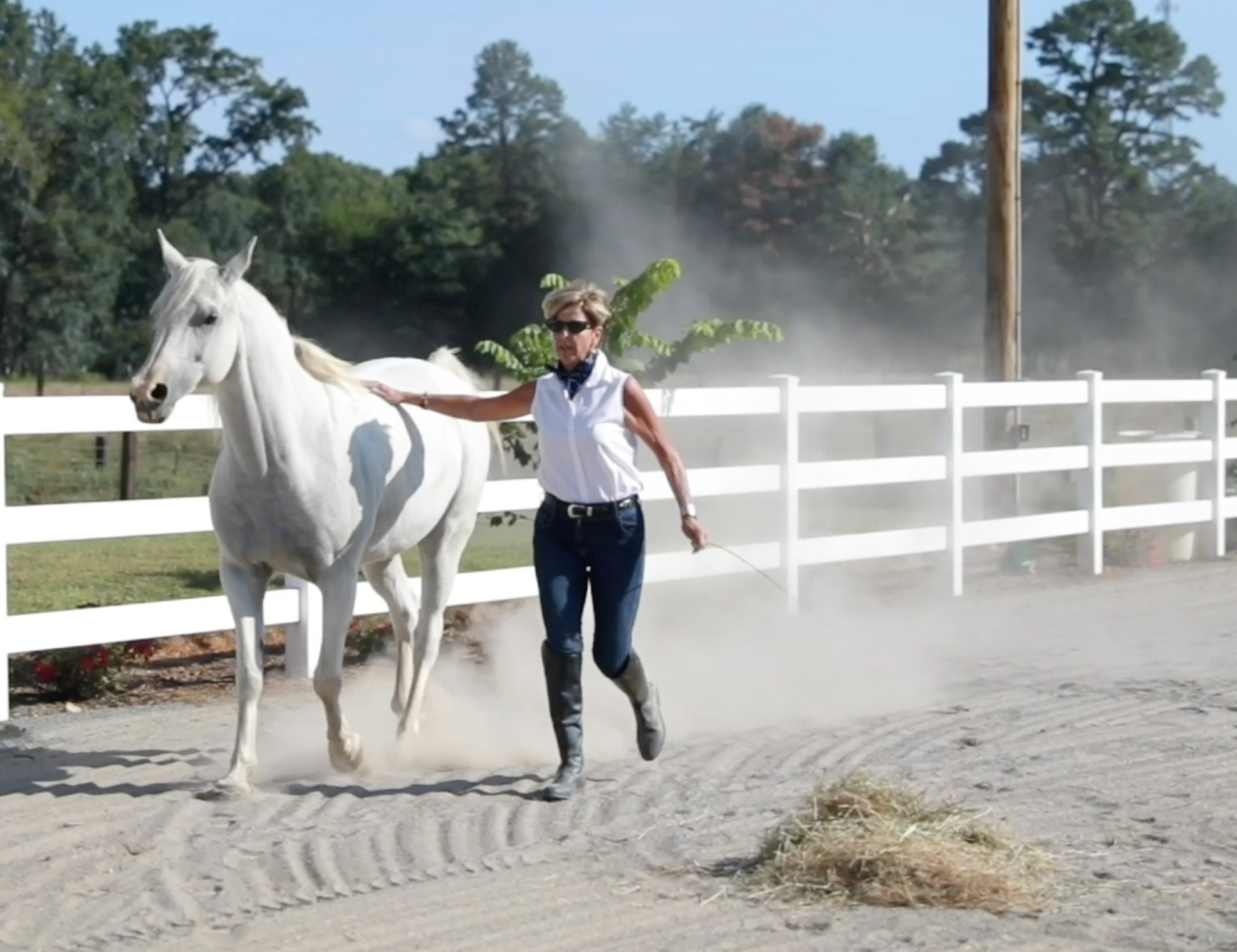 THE GREATEST JOURNEY: Becoming One with Your Horse