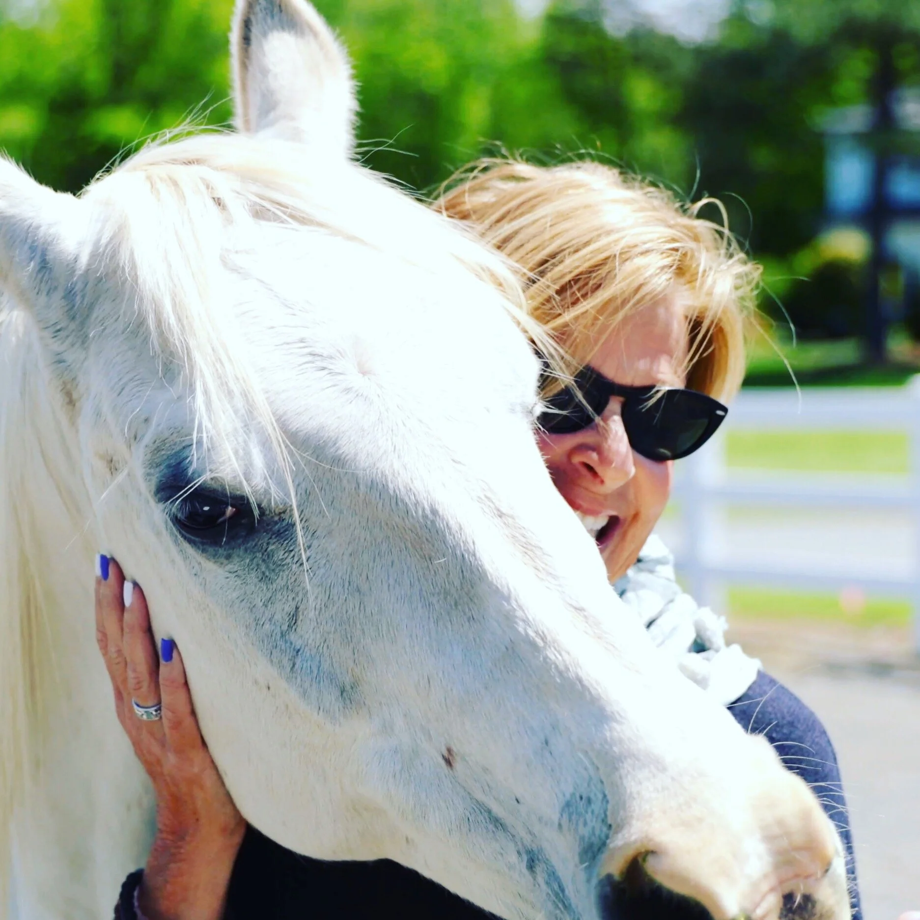 Animal Communication Session