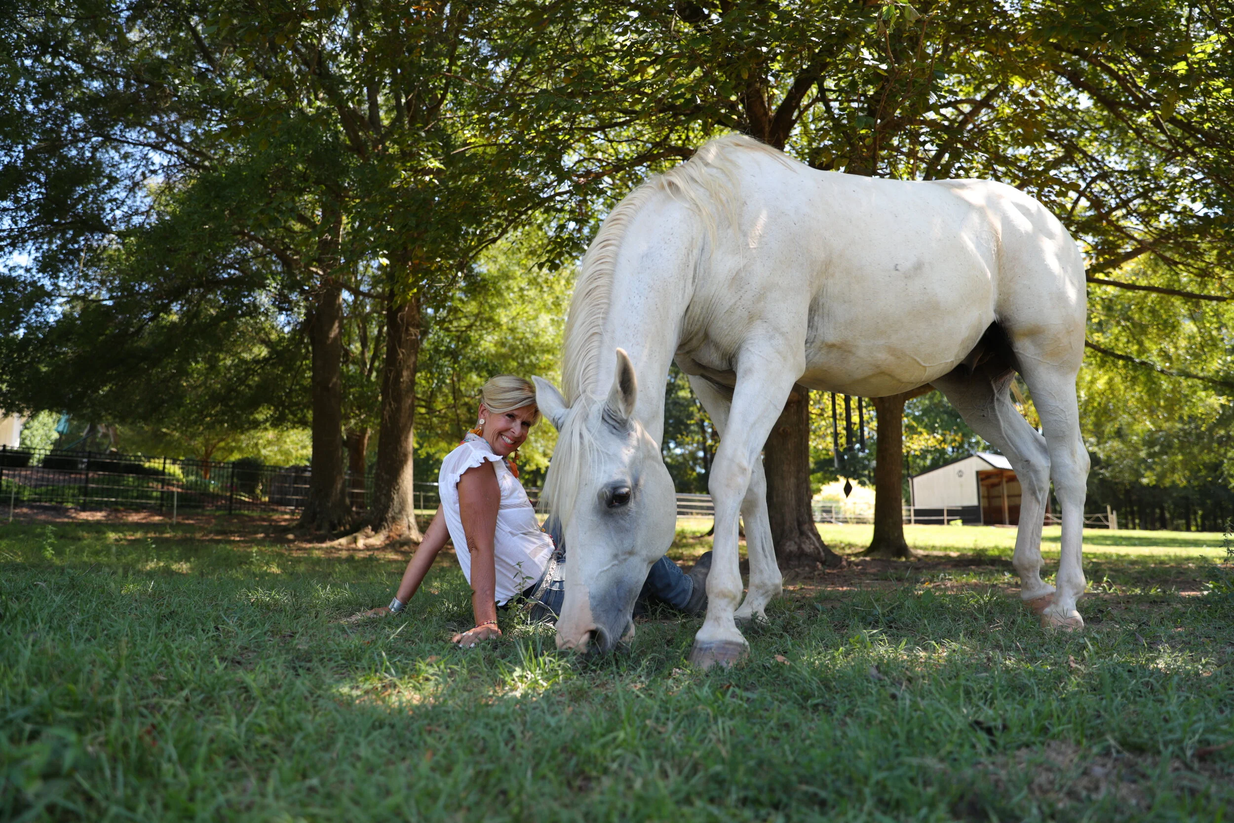 FREE  Webinar on The Language of Horses Series
