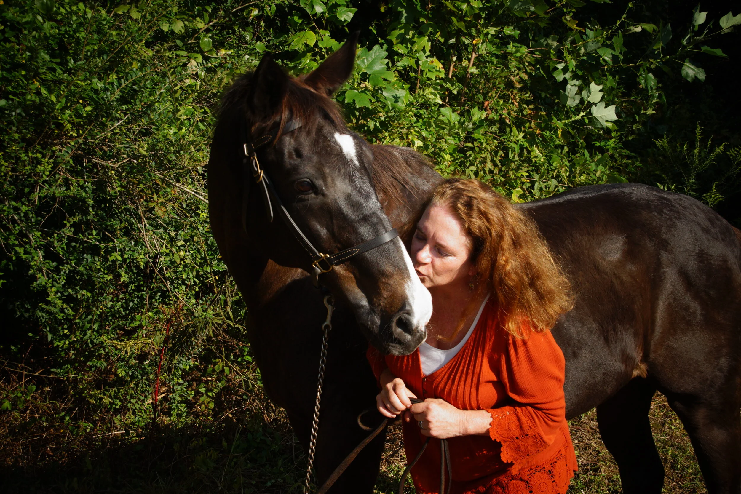 MEET OUR NEWEST TEAM MEMBERS!