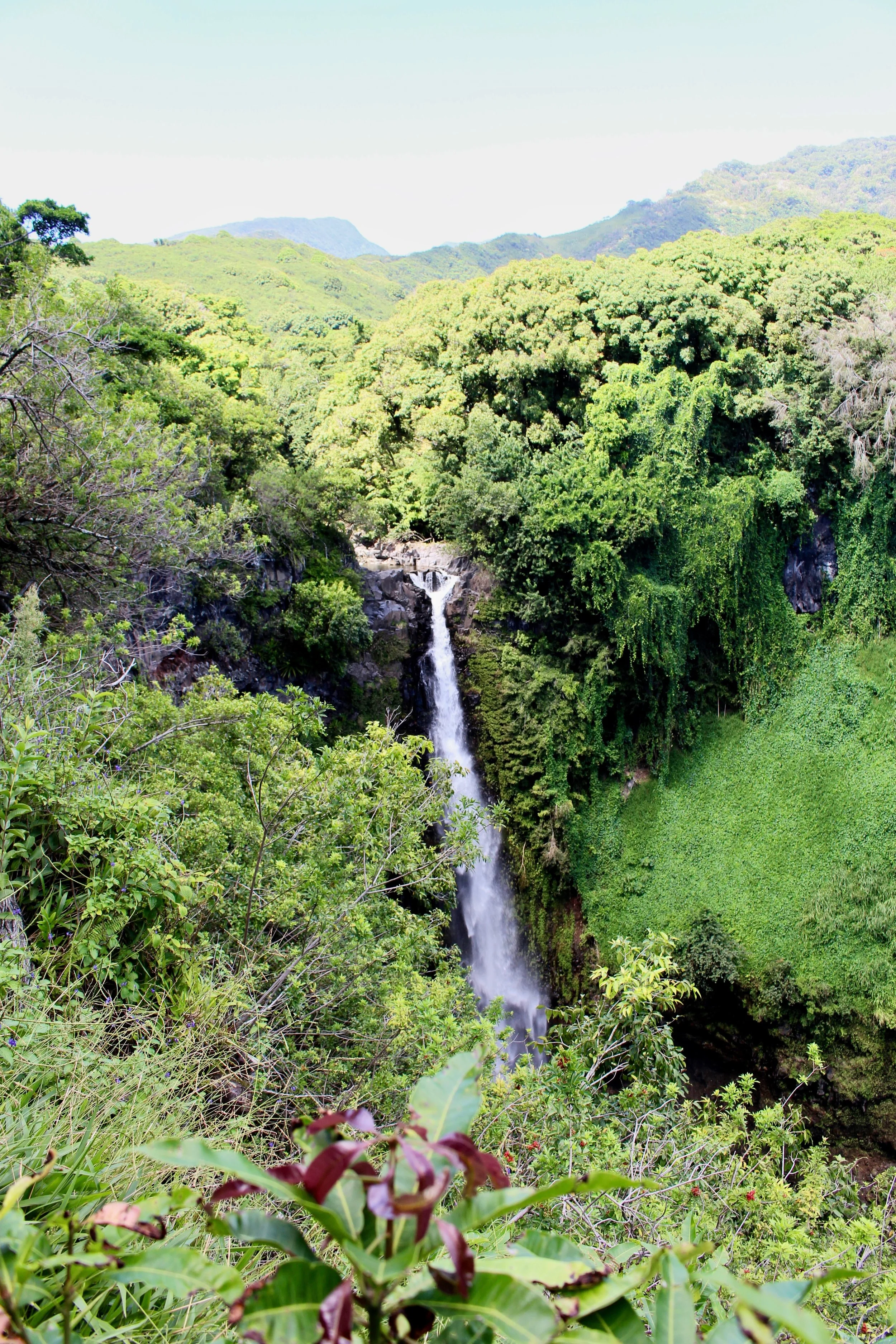 One of the many waterfalls on the road to Hana. 