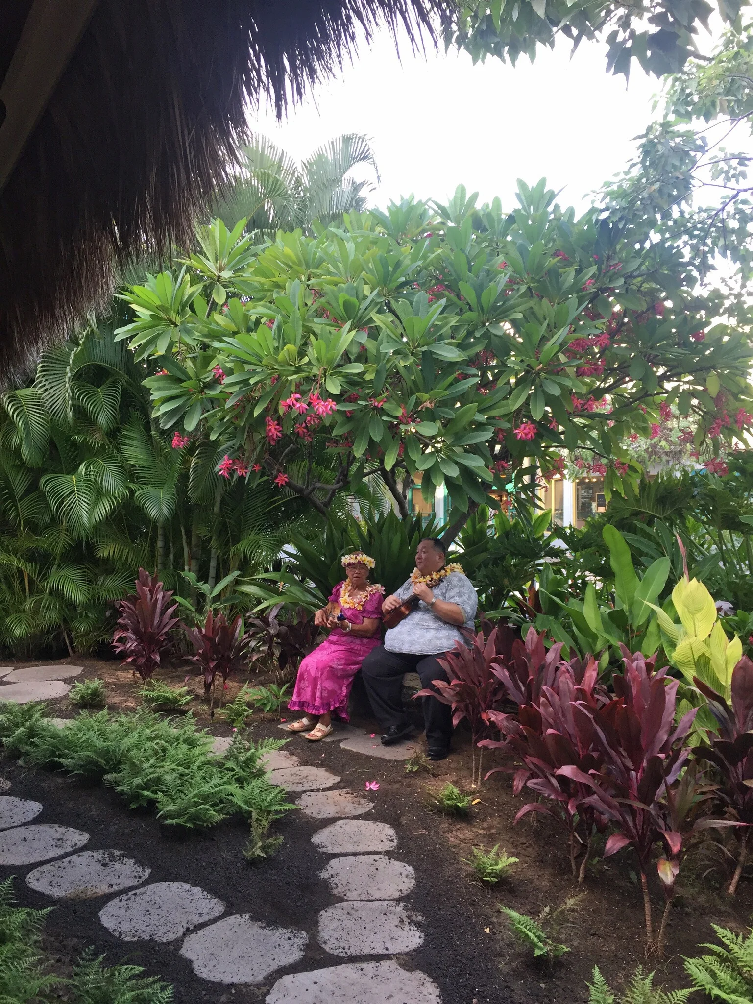 Straight up out of the movie Moana. 