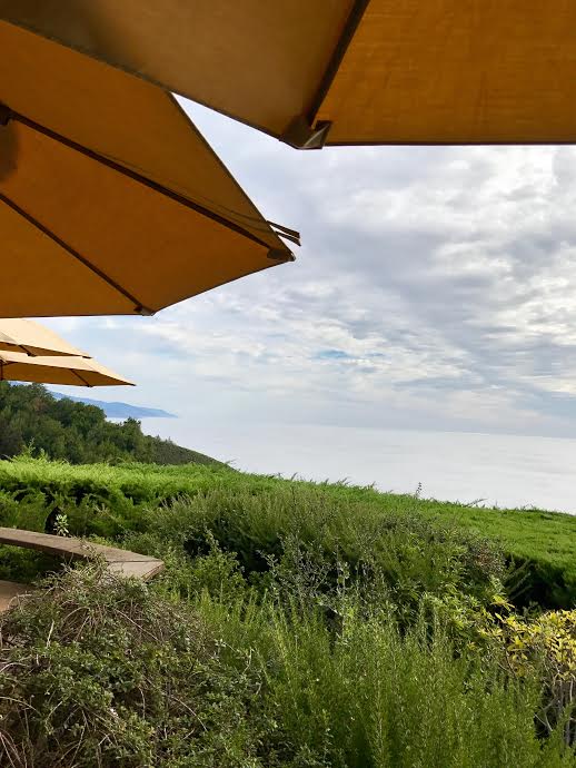 The views from the restaurant at Ventana. 