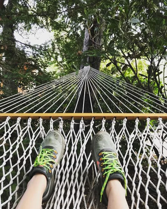 Relaxing hammocks are scattered throughout the property.