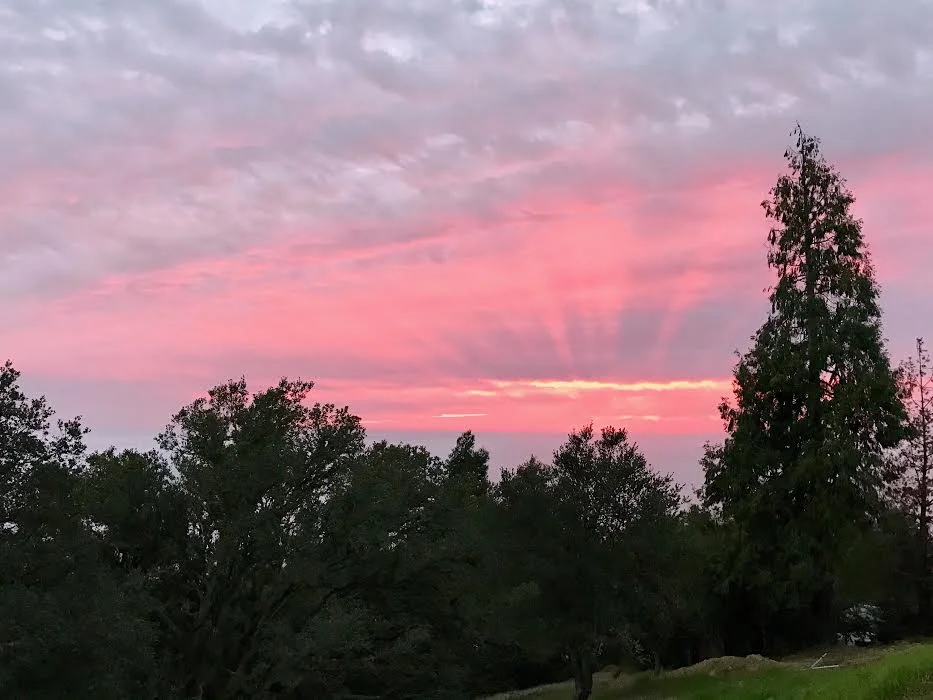 That same sunset evolved into this. 