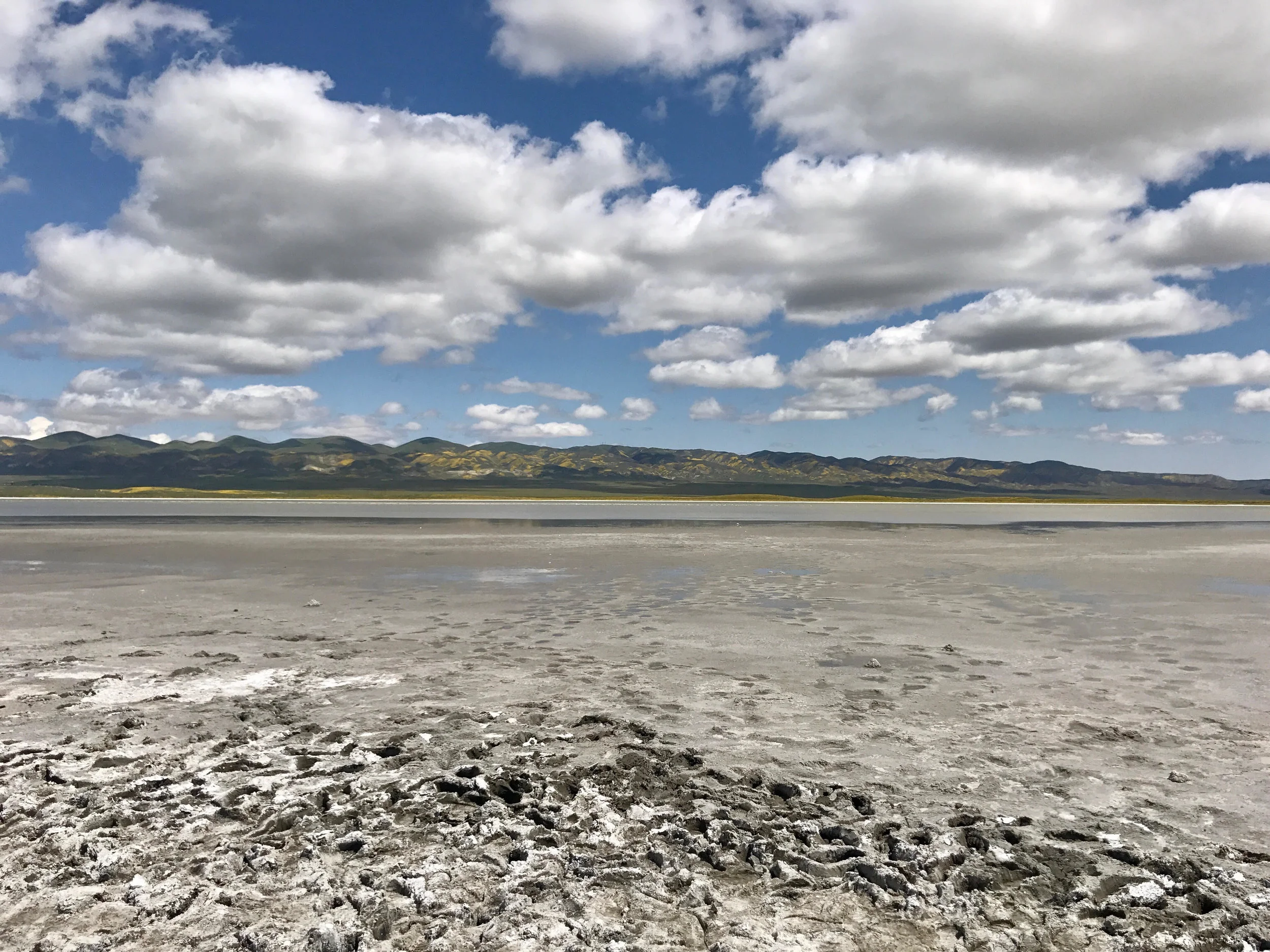 An up close view of Soda Lake, that's almost dried out. 