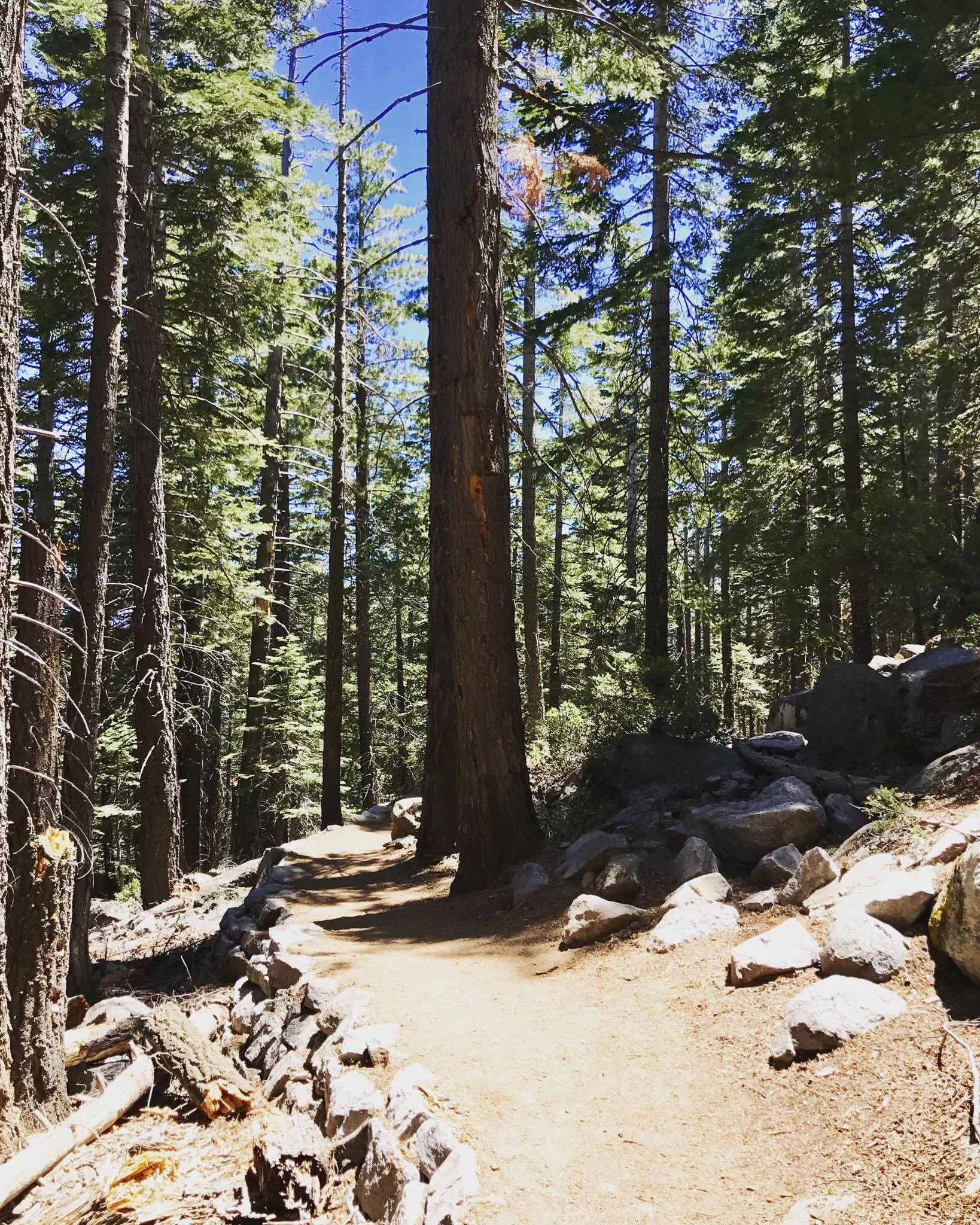 This is at the beginning of the trail. The first time I did this hike, I saw a bear right here! 