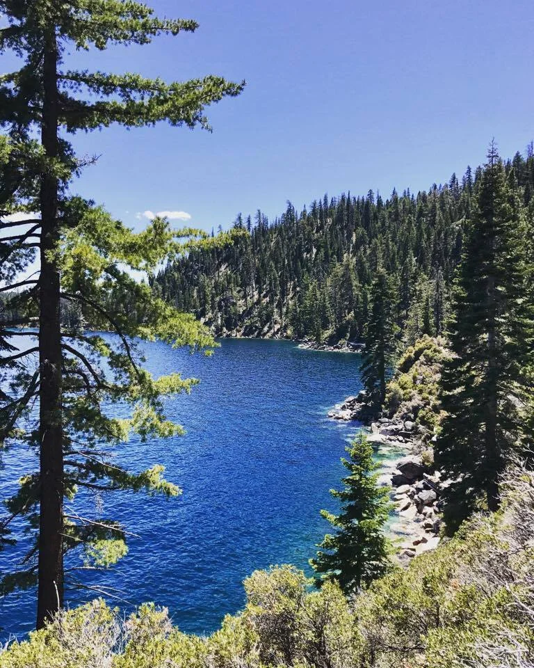 This is what the view looks like the majority of the hike. 