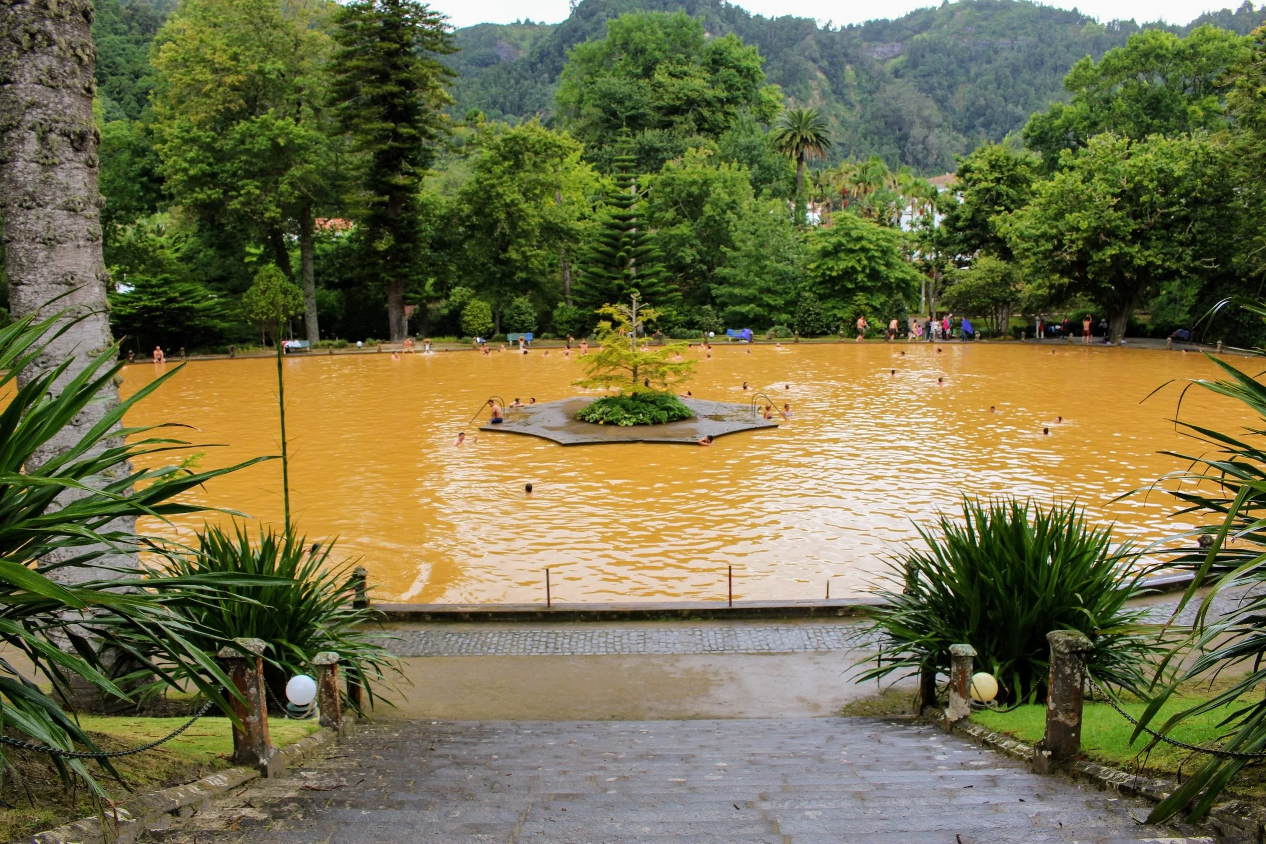 Conveniently down the street from the hotel was Terra Nostra Gardens . It's one of the most beautiful gardens in Europe that features a thermal swimming pool and more than 2000 different trees.