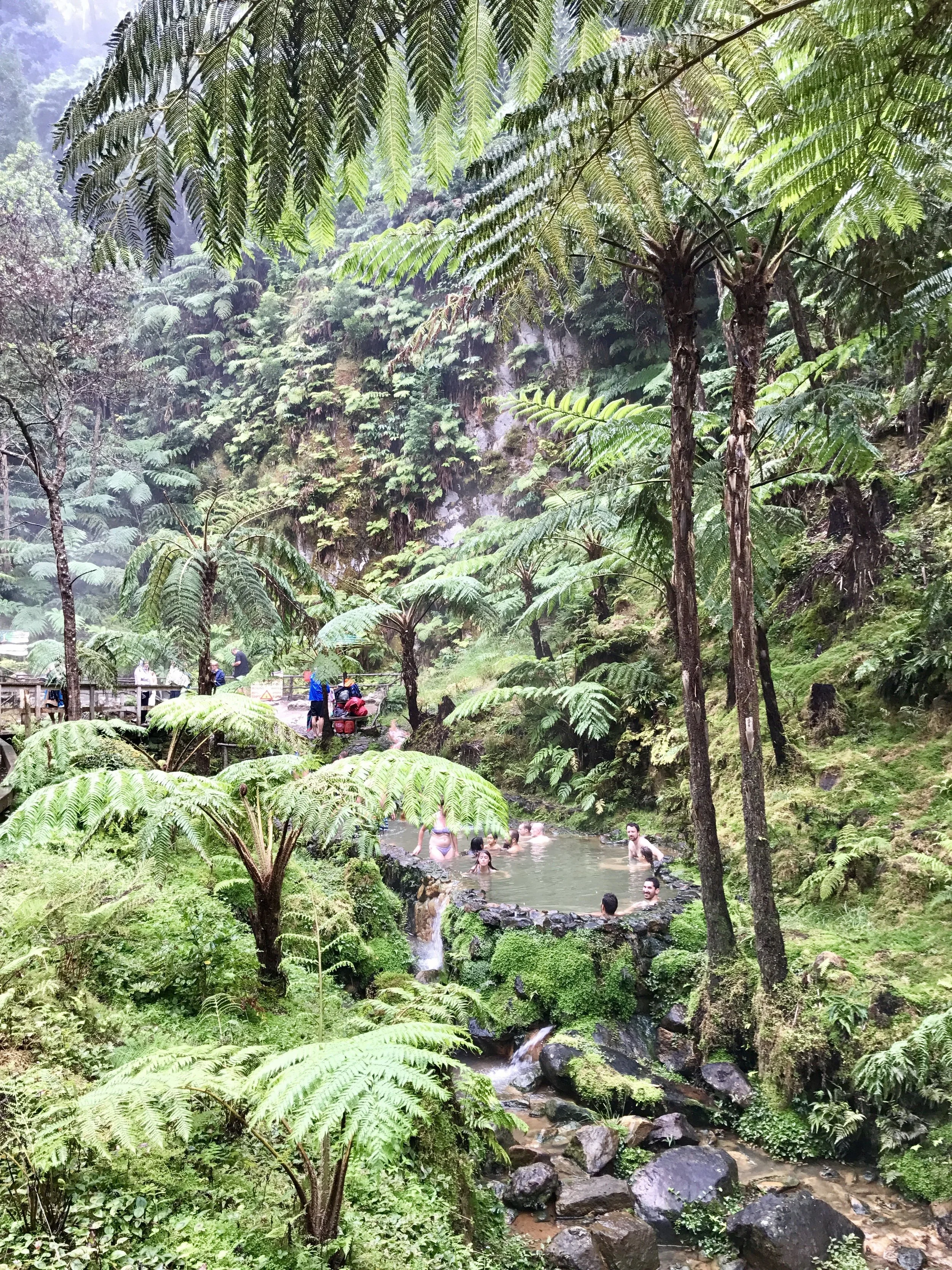 I lied. The last thing we did prior to leaving Sao Miguel was visiting Caldeira Velha . We almost skipped this because it was raining so hard. I'm so so glad we didn't! The springs kept us nice n' warm. 