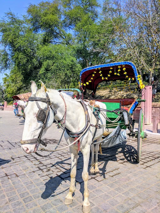 IMG_20180204_120128.jpg