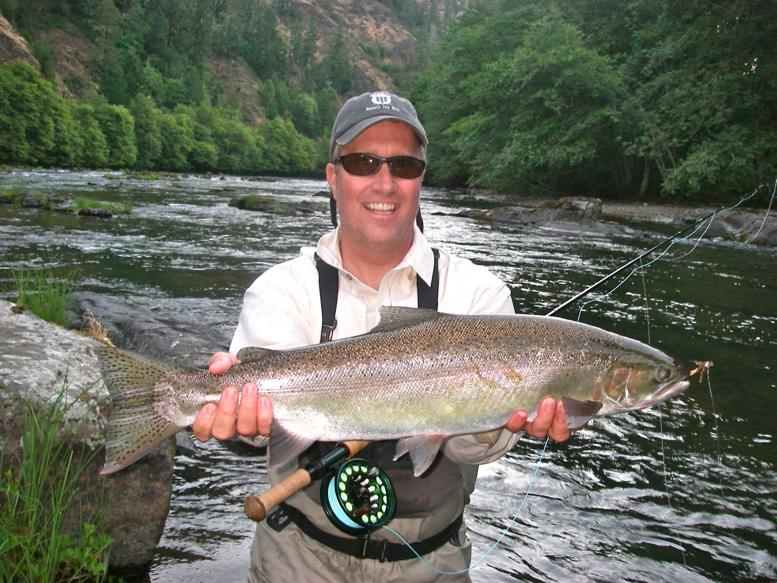 North Umpqua steelhead