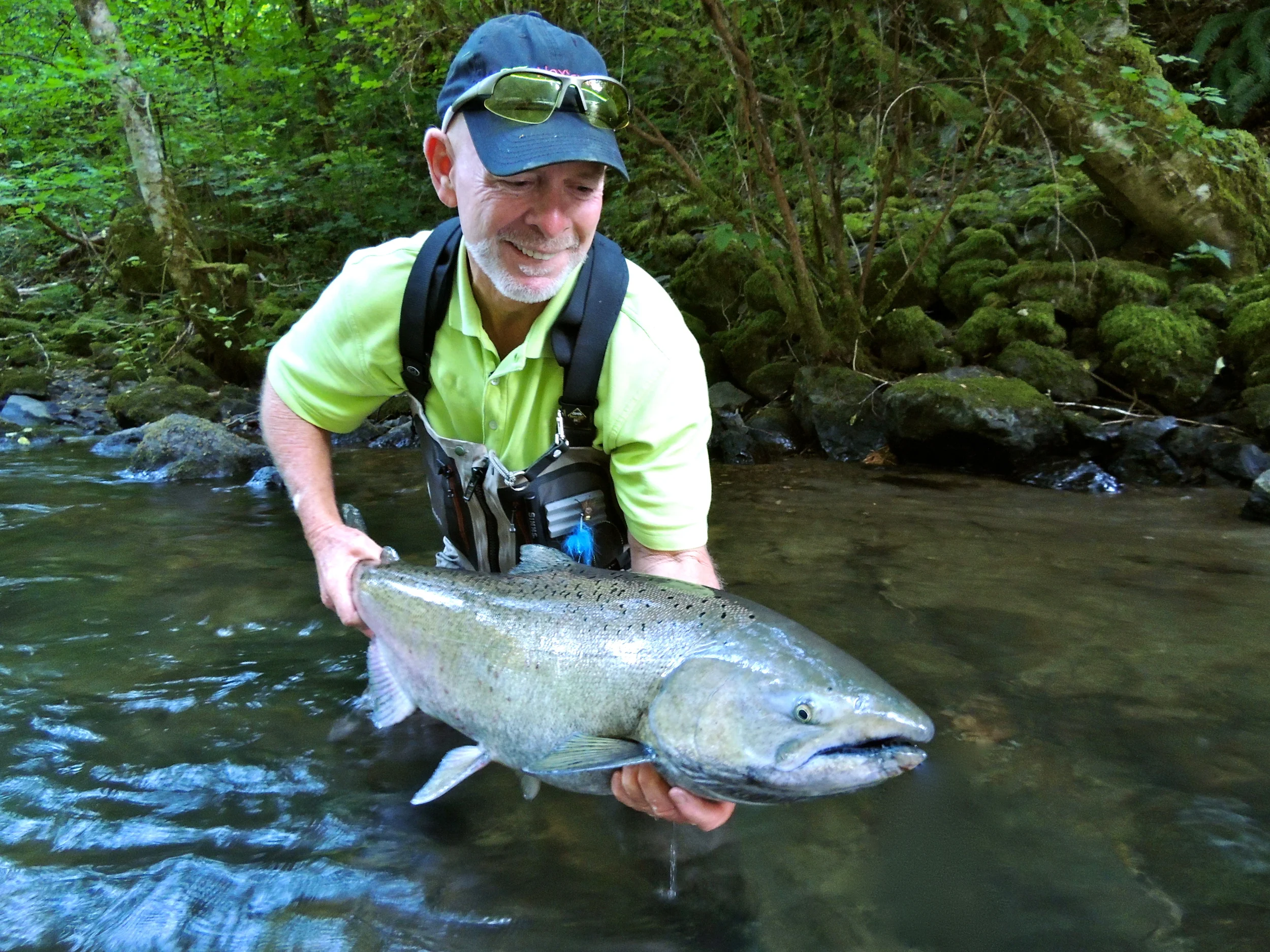 Steelhead