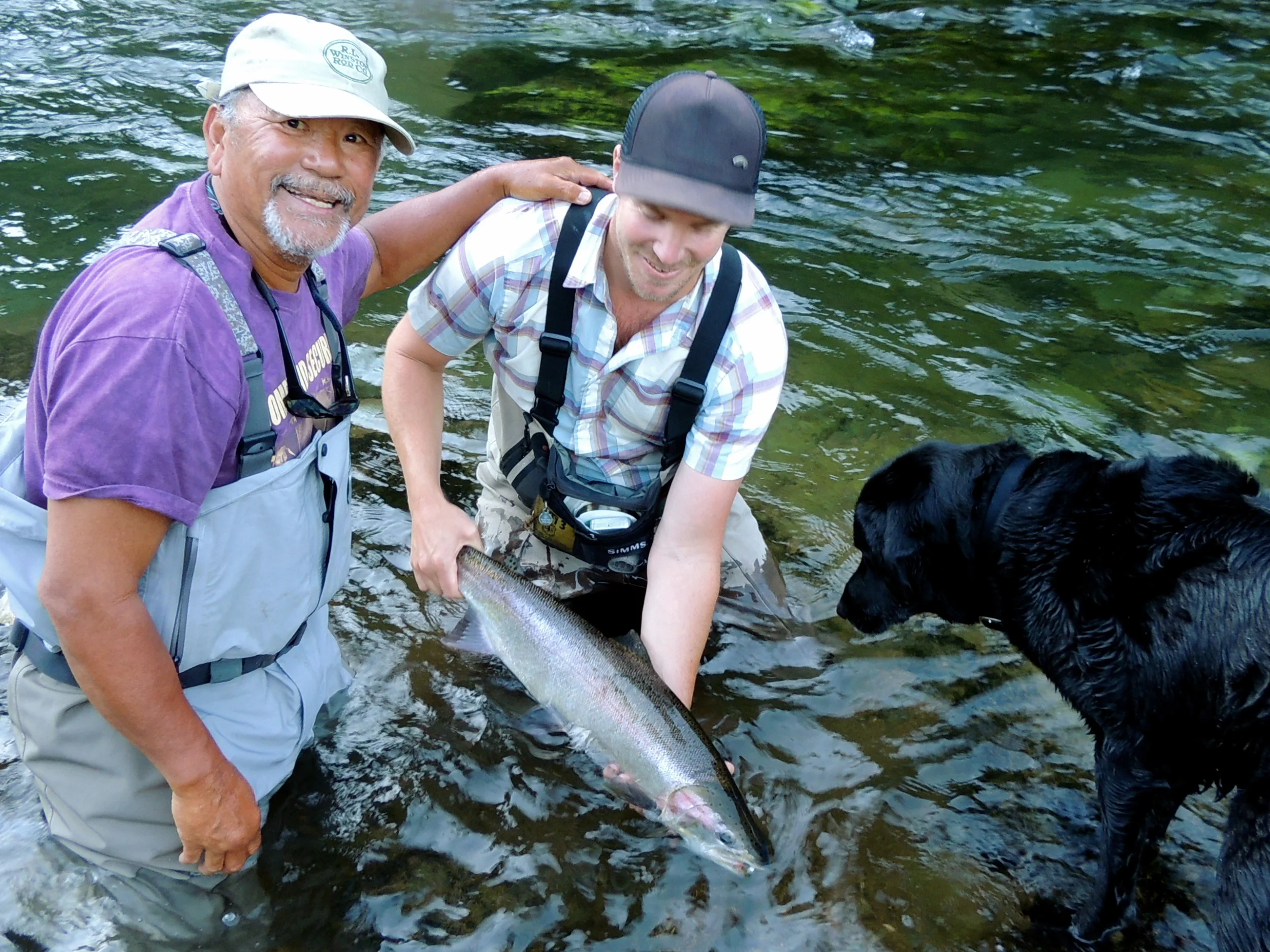 North Umpqua steelhead