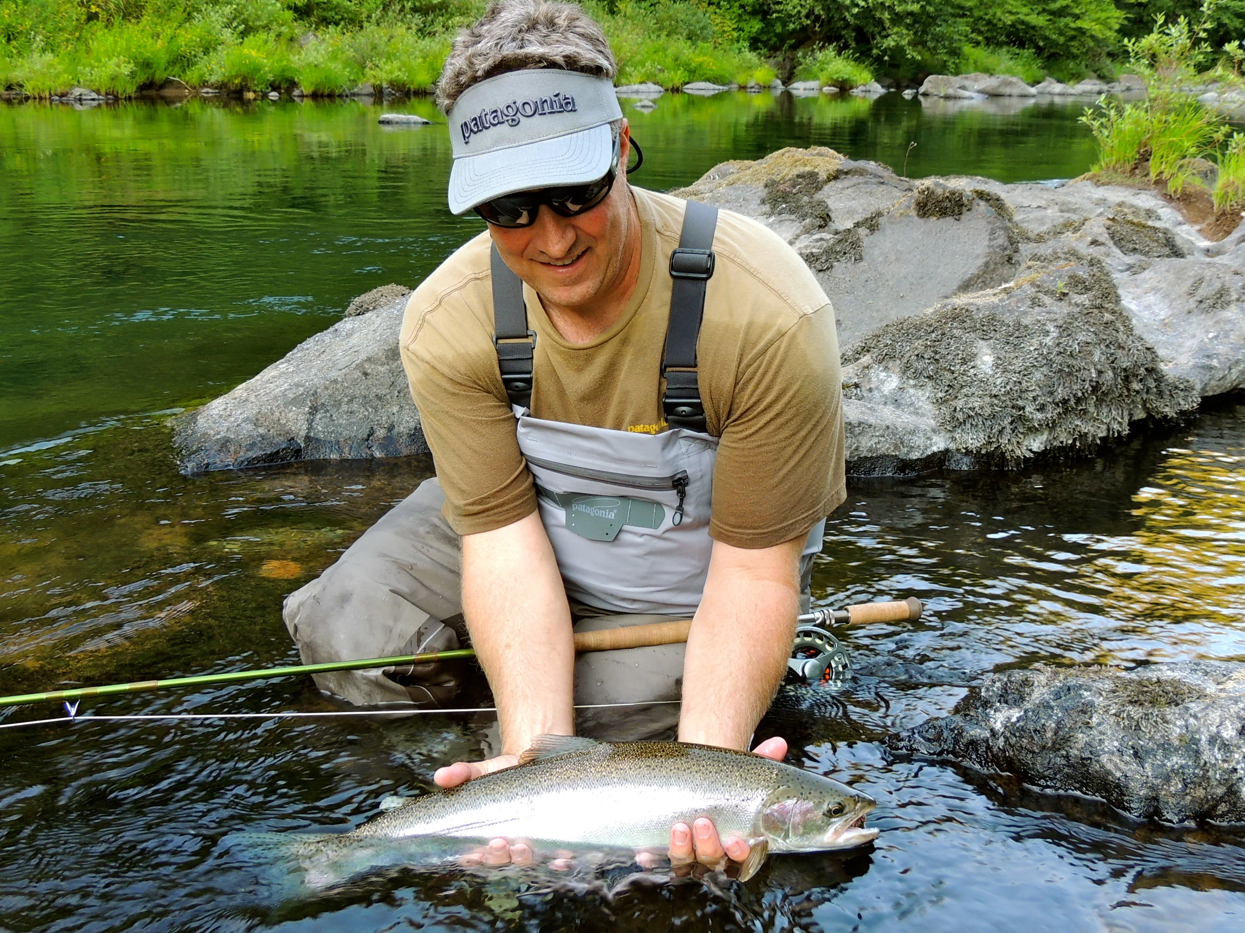 North Umpqua steelhead