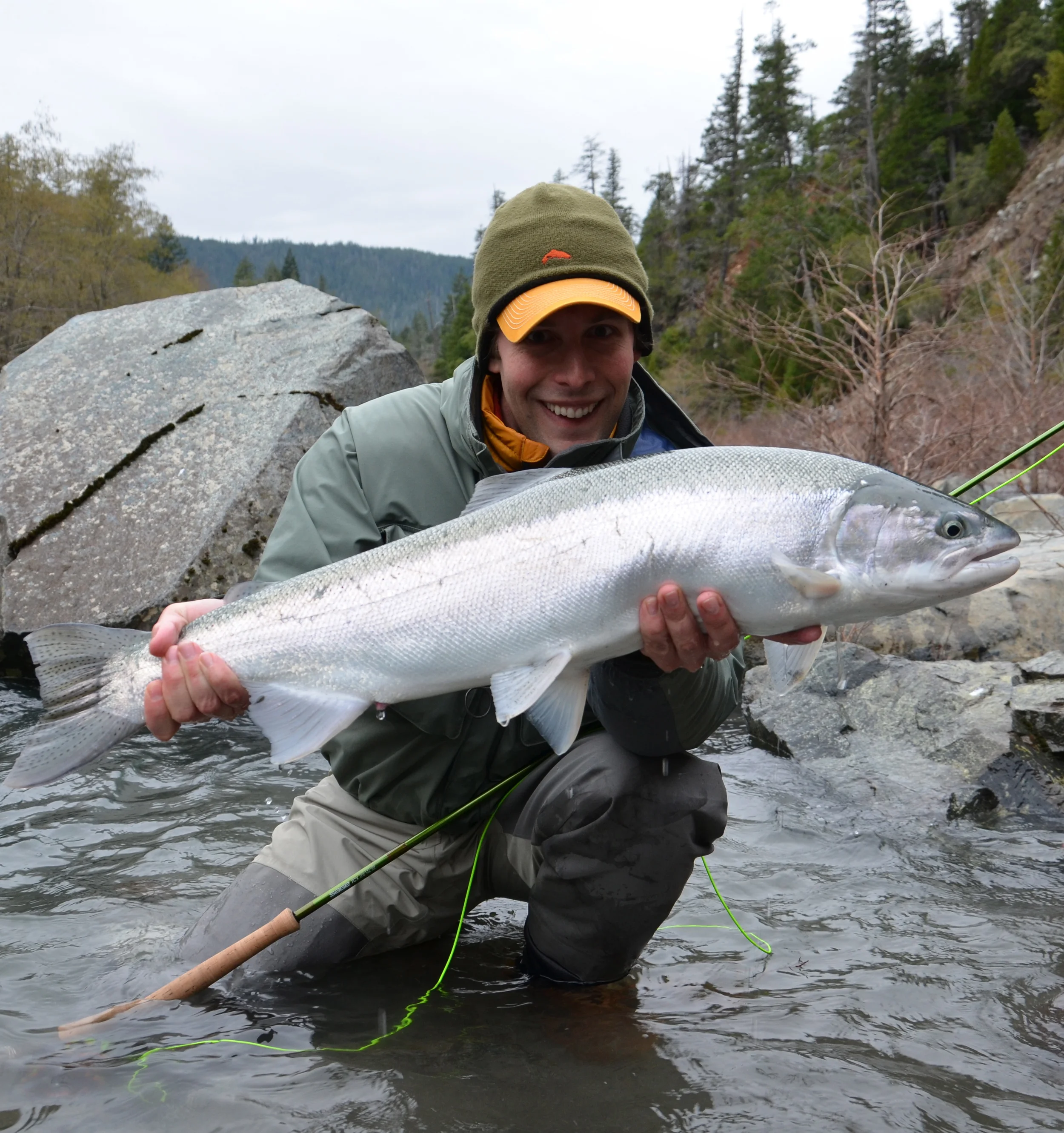 Smith River steelhead