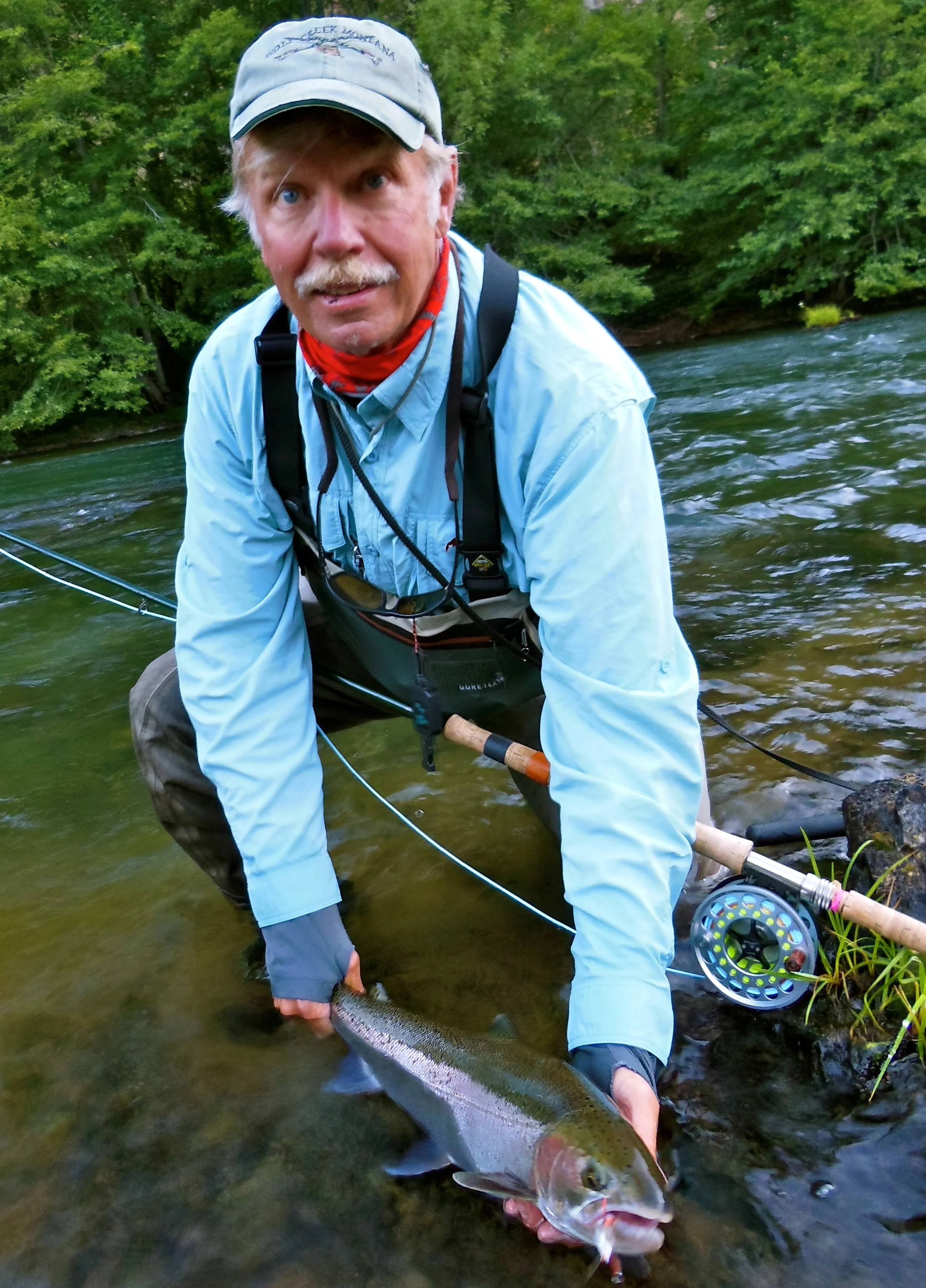 North Umpqua steelhead