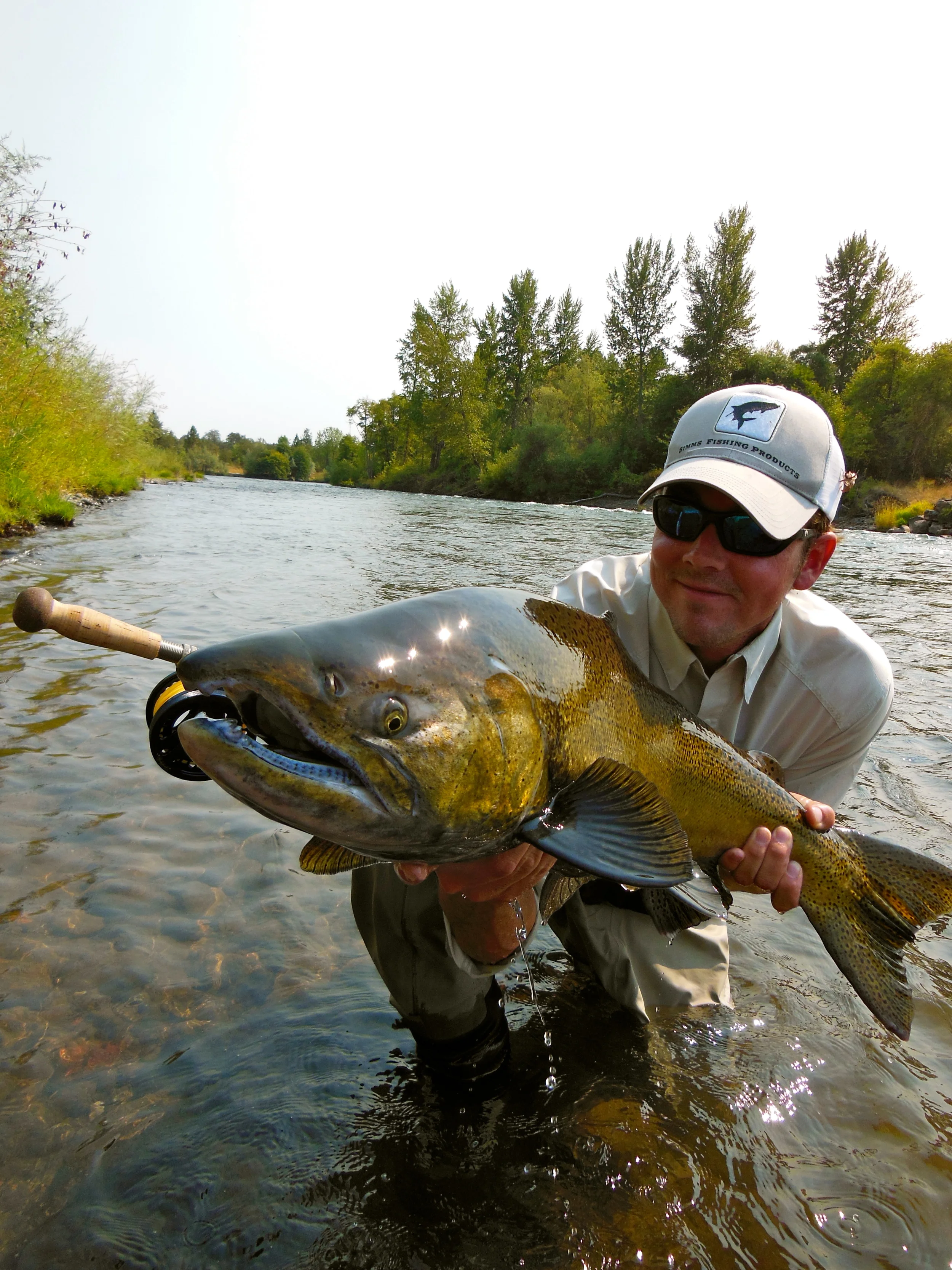  Guided fly fishing trips with Steelhead Water's Rich Zellman on the North Umpqua, Trinity, and Smith rivers. 