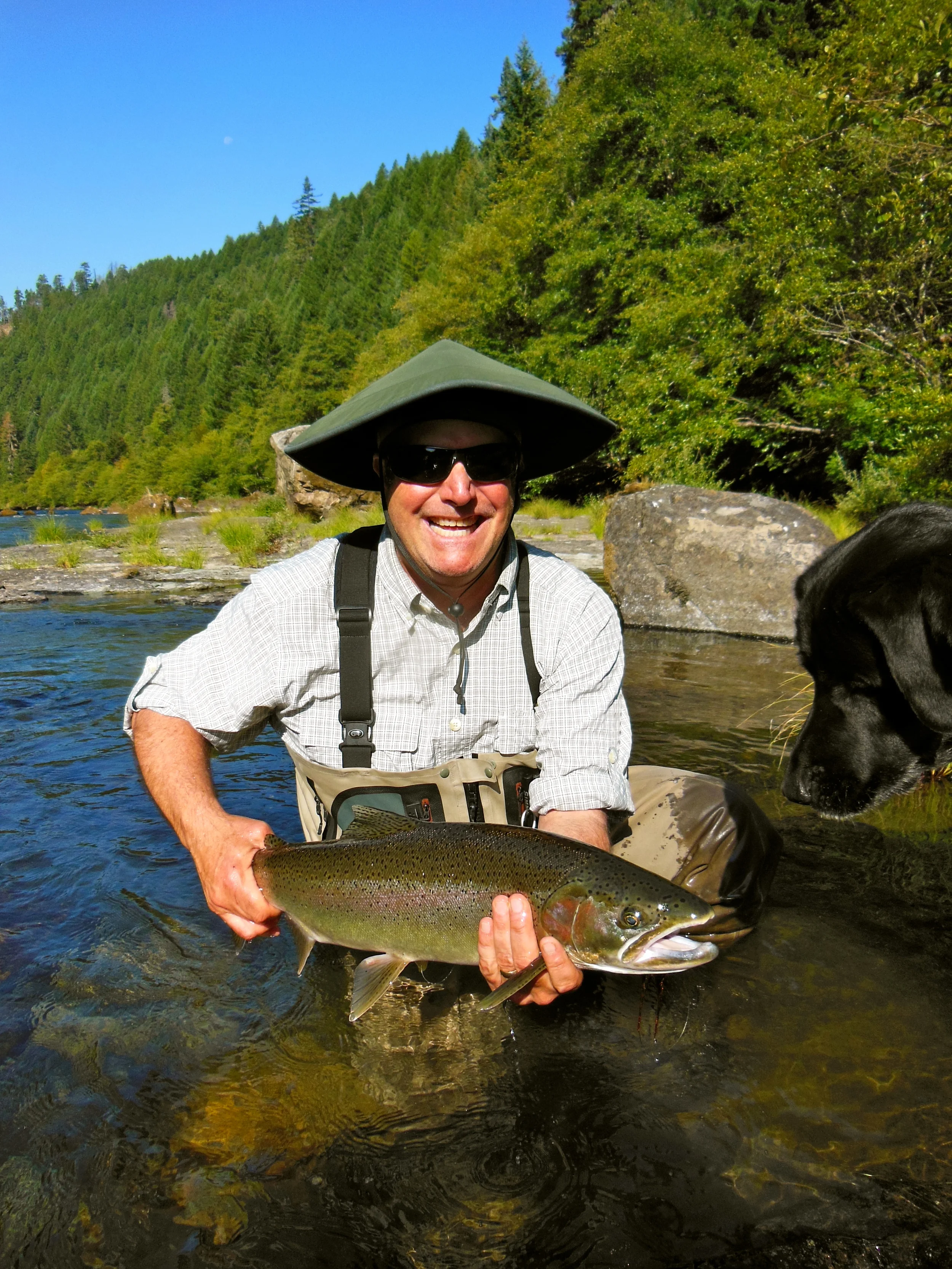 North Umpqua steelhead